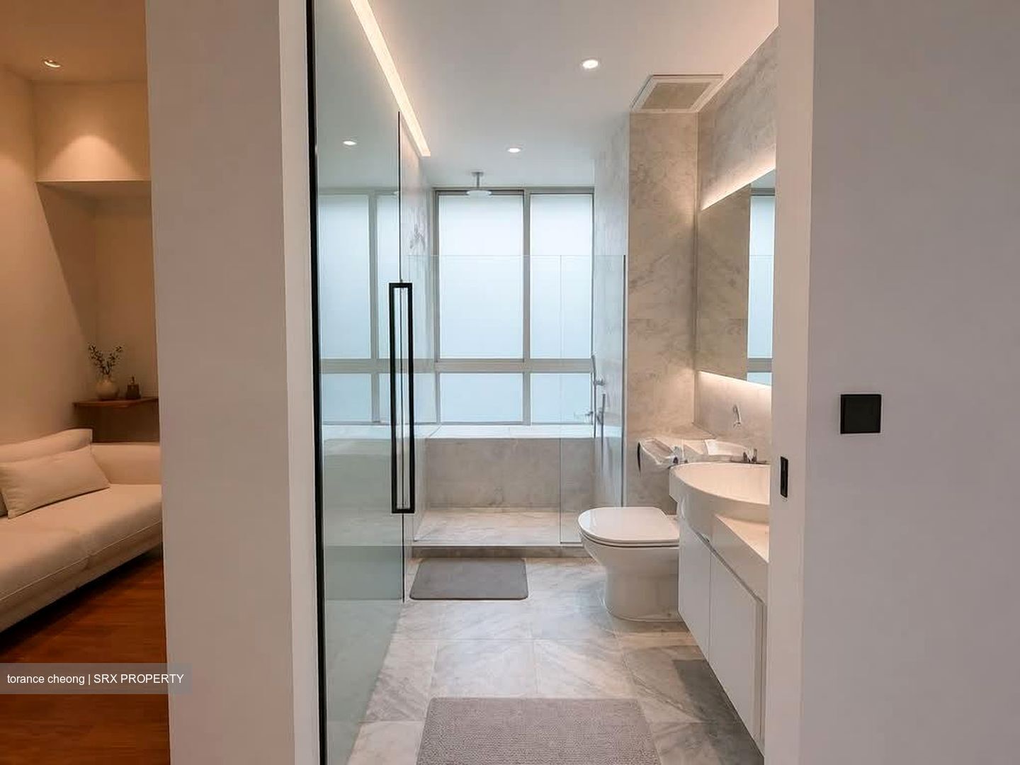 Zenith (D10), Apartment #552684861
